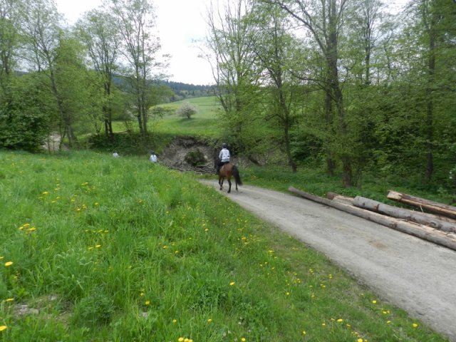 Rajd Mszana Górna 2015